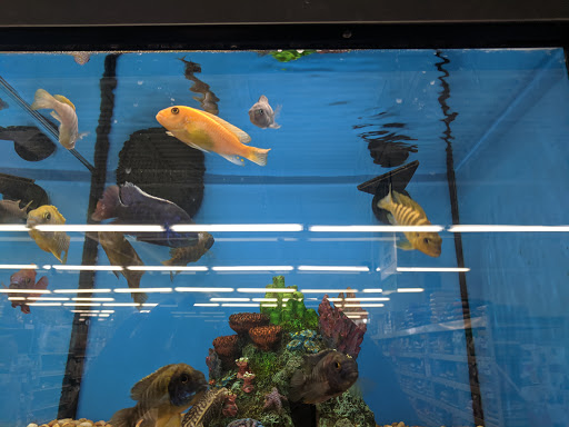 Pet Supply Store «Pet Supplies Plus», reviews and photos, 1240 Seminole Trail, Charlottesville, VA 22901, USA