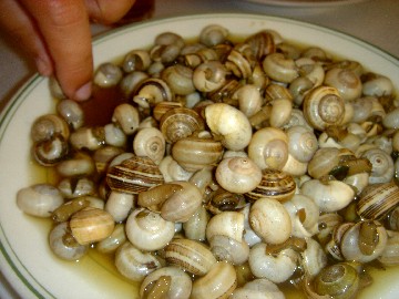 Avaliações doCafé O Porão em Peniche - Cafeteria