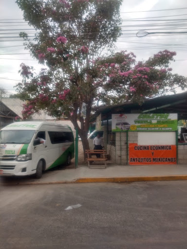 COLETOS TRANSPORTE CAMINO REAL