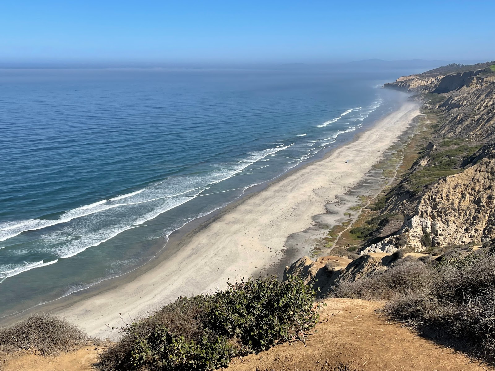 Foto von Black's beach mit langer gerader strand