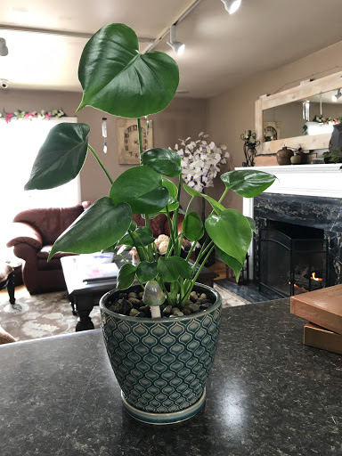 Florist «The Enchanted Cottage», reviews and photos, 611 12300 S, Draper, UT 84020, USA