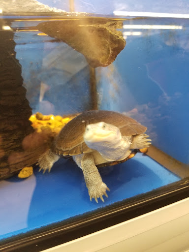 Pet Supply Store «PetSmart», reviews and photos, 475 Bank St, Waterbury, CT 06708, USA