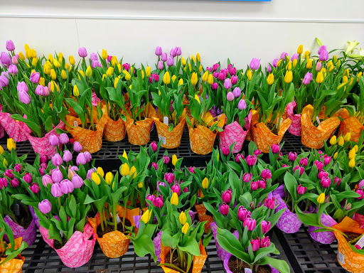 Discount Store «Walmart», reviews and photos, 209 E Ridgeville Blvd, Mt Airy, MD 21771, USA