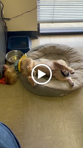 Auto Repair Shop «Rivergate Muffler & Complete Auto Care», reviews and photos, 159 Gleaves St, Madison, TN 37115, USA