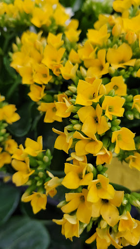 Home Improvement Store «The Home Depot», reviews and photos, 475 Commack Rd, Deer Park, NY 11729, USA