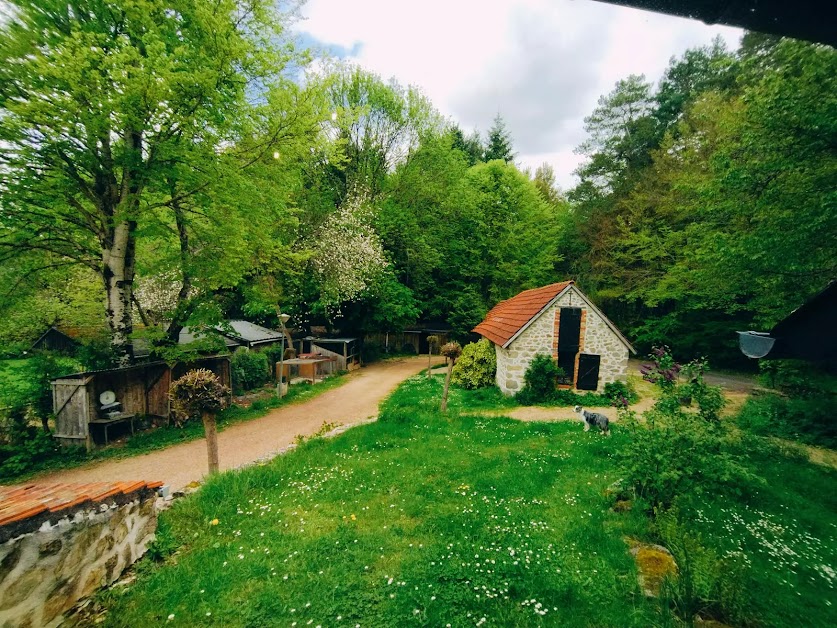 Domaine du Bois Kako - Camping à Liginiac (Corrèze 19)