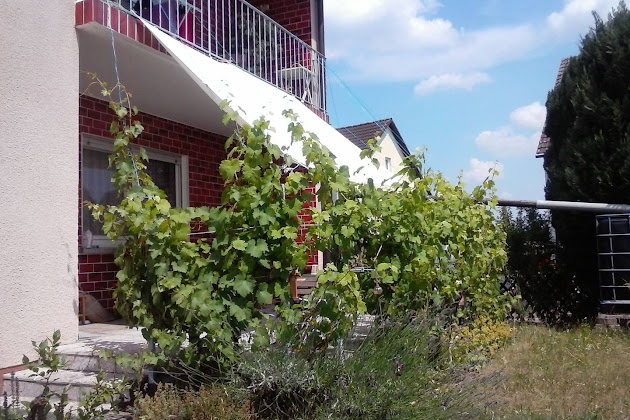 Extérieur Ferienwohnung Ferienwohnung Gartenblick 91187 Röttenbach