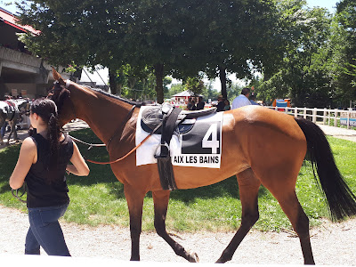 Hippodrome d'Aix-les-Bains à Aix-les-Bains