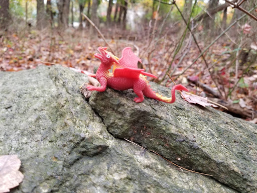 Nature Preserve «Lorrimer Sanctuary», reviews and photos, 790 Ewing Ave, Franklin Lakes, NJ 07417, USA