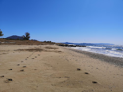 Panaritis beach II'in fotoğrafı - rahatlamayı sevenler arasında popüler bir yer