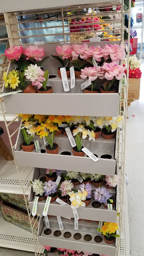 Craft Store «Michaels», reviews and photos, 971 Harley Strickland Blvd, Orange City, FL 32763, USA