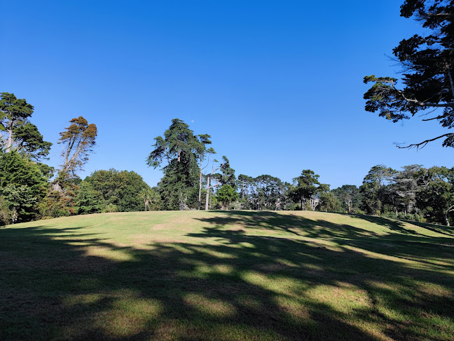 Rosedale Park Disc Golf Course