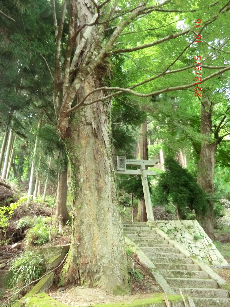 京都の自然200選 百丈岩