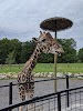 Keystone Safari