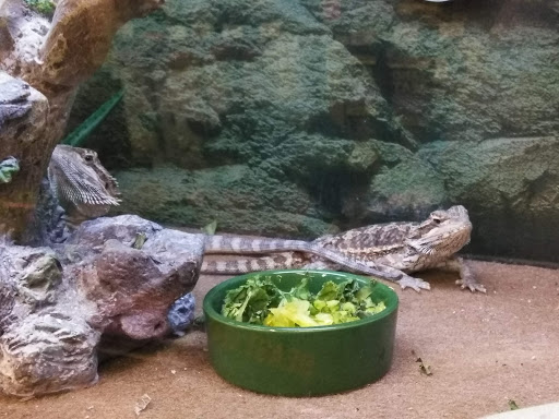 Pet Supply Store «Petco Animal Supplies», reviews and photos, 1514 Country Road 220, Fleming Island, FL 32003, USA