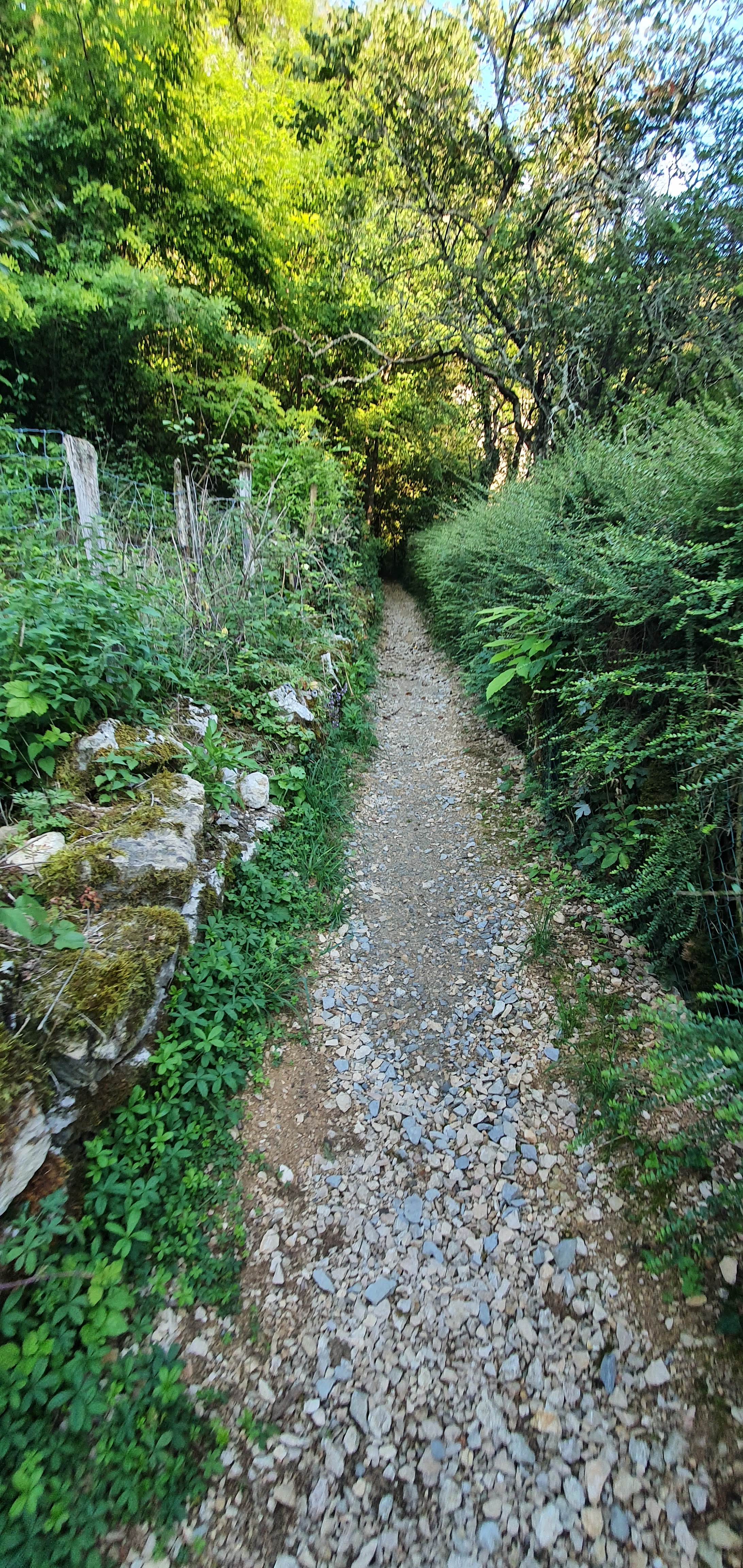 Photo n° 7 de l'avis de Amoarii.P fait le 18/09/2021 à 05:31