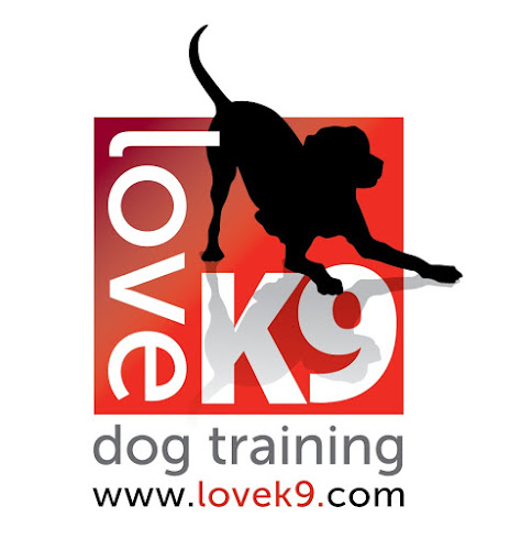 LoveK9 Dog Training - Norwich