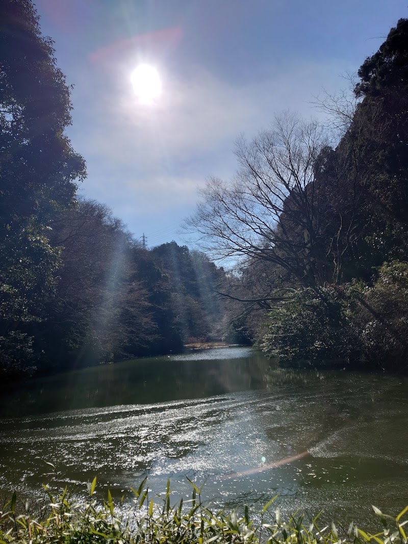 円海山 瀬上池