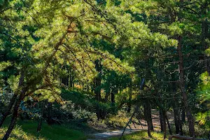 Allaire State Park Trailhead image