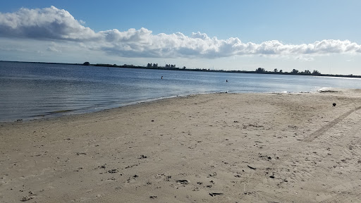 Gandy Beach Mangroves