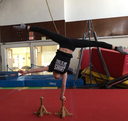 Gymnastics Center «Nova Sports Summer Camp at Nova Athletic Club», reviews and photos, 3701 Surf Ave, Brooklyn, NY 11224, USA