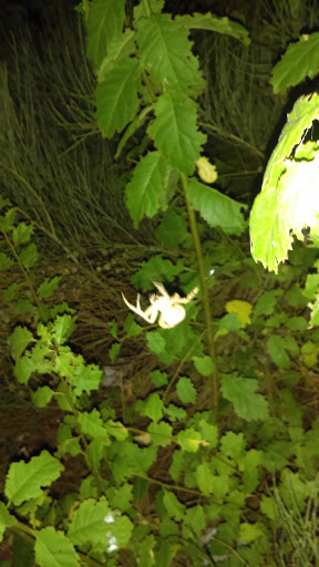 Recreation Center «Neil Road Recreation Center», reviews and photos, 3925 Neil Rd, Reno, NV 89502, USA