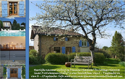 Vakantiehuizen en B&B met zwembad in de Charente, Frankrijk à Mazières