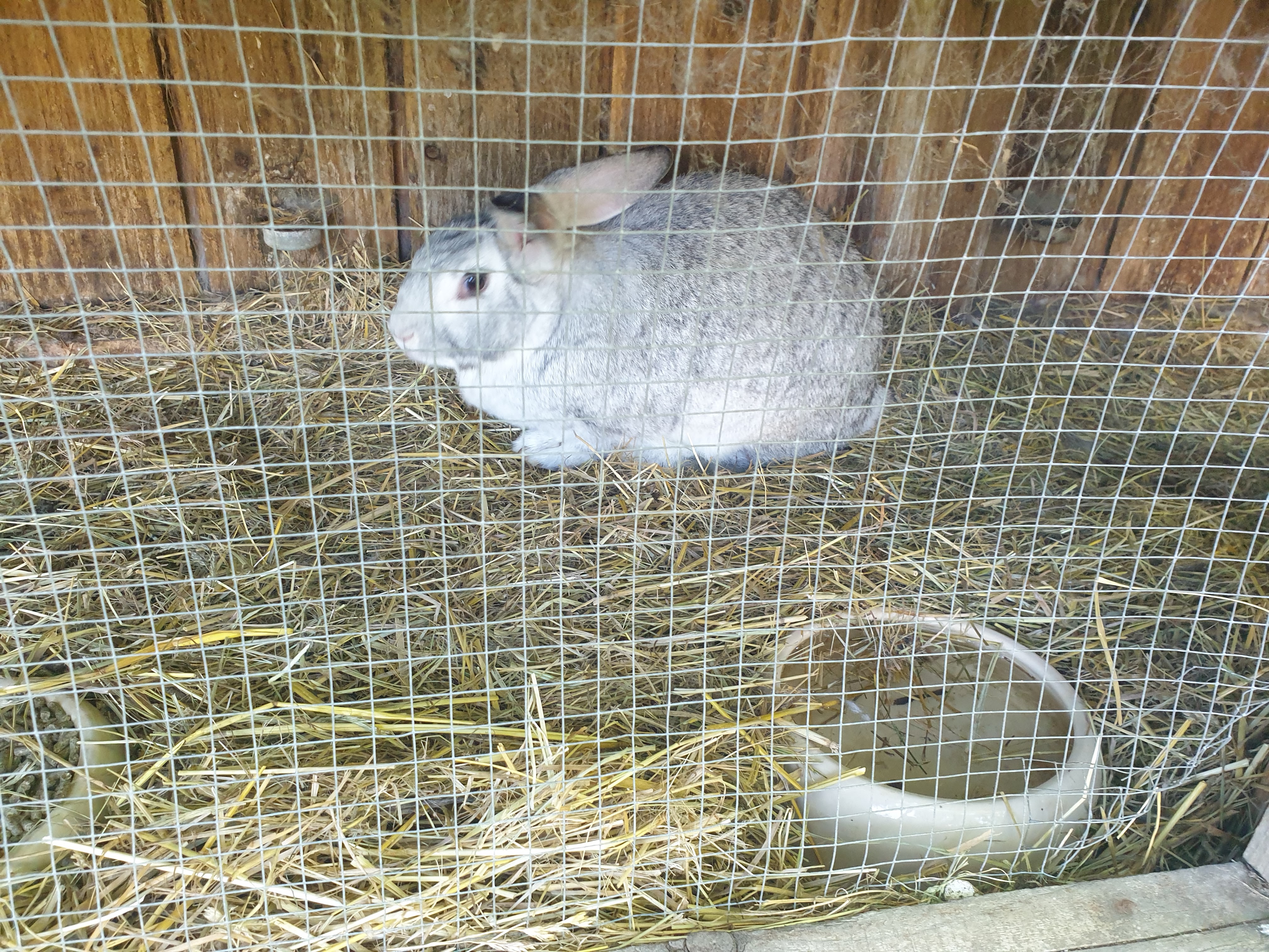 Photo n° 3 de l'avis de Stéphanie. fait le 04/06/2023 à 21:08