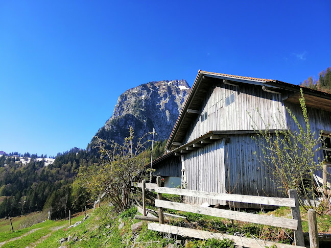 Alp Buechä - Schwyz