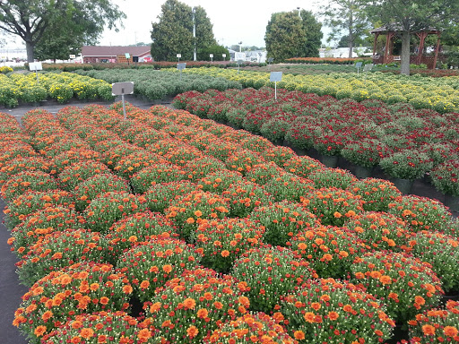 Florist «Countryside Flower Shop», reviews and photos, 5301 E Terra Cotta Ave, Crystal Lake, IL 60014, USA