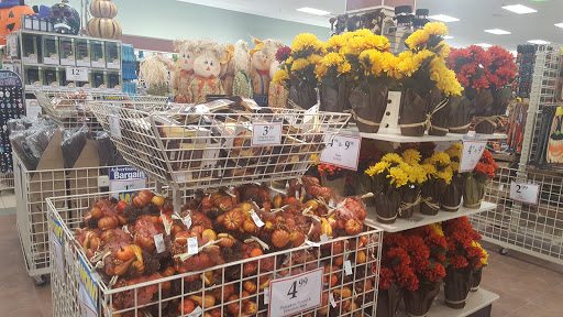 Home Goods Store «Christmas Tree Shops», reviews and photos, 2925 Festival Way, Waldorf, MD 20601, USA