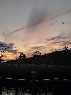 Landing Avenue Park - photo 27