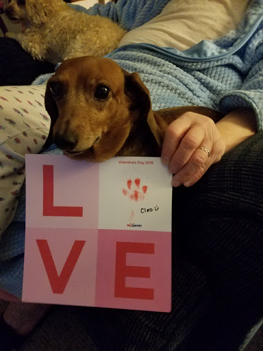 Pet Supply Store «PetSmart», reviews and photos, 1460 Koester Rd, Forsyth, IL 62535, USA