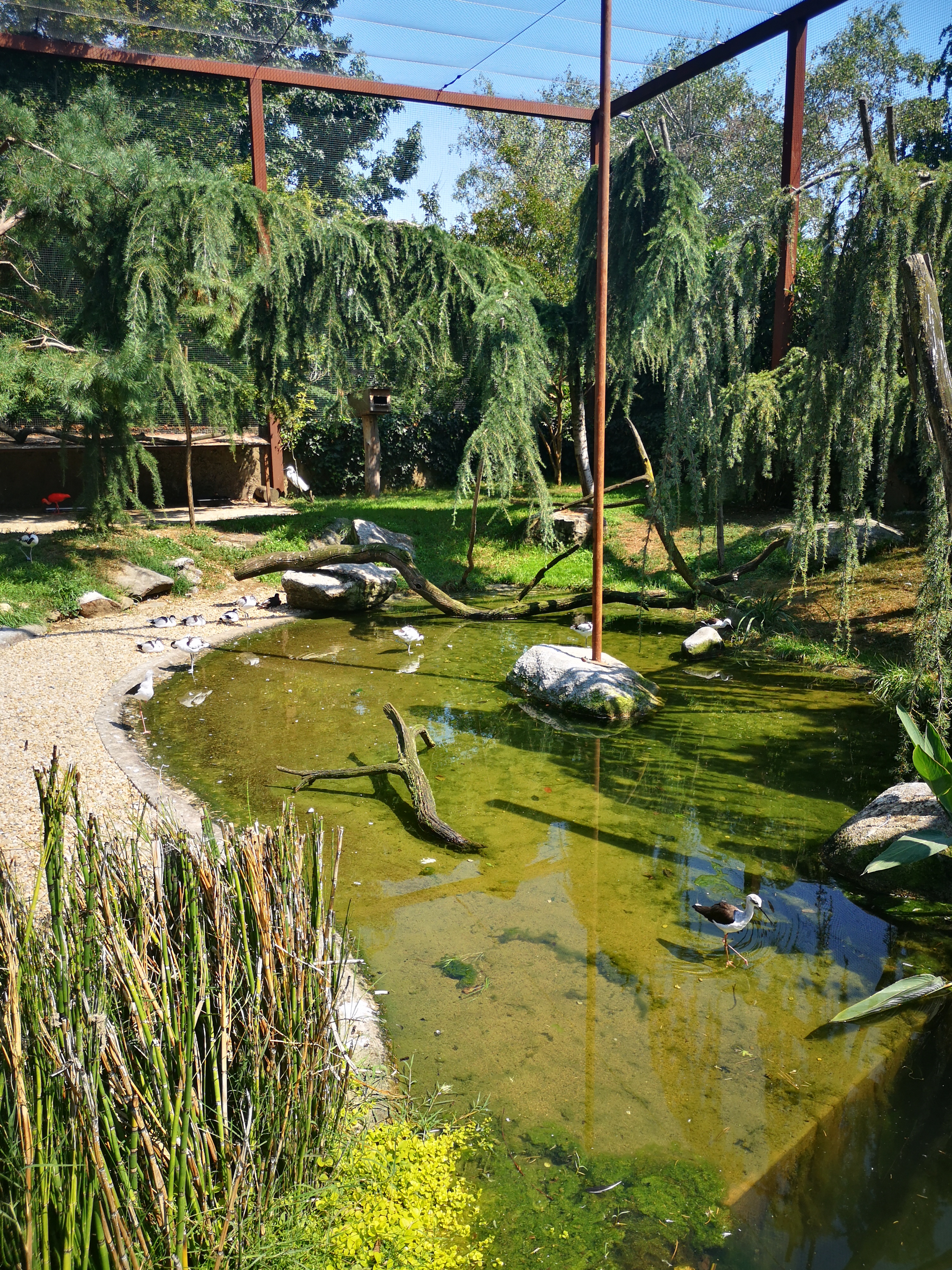 Photo n° 2 de l'avis de Léonie. fait le 26/08/2023 à 20:22