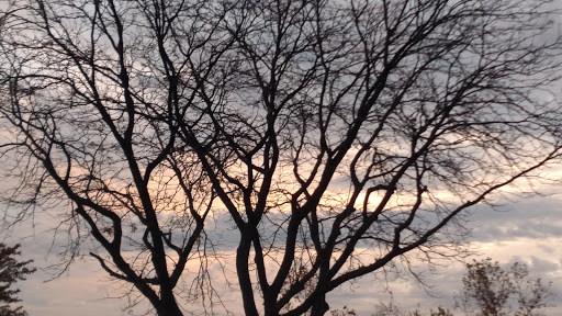 Nature Preserve «Greenbelt Forest Preserve», reviews and photos, 1110 S Green Bay Rd, North Chicago, IL 60035, USA