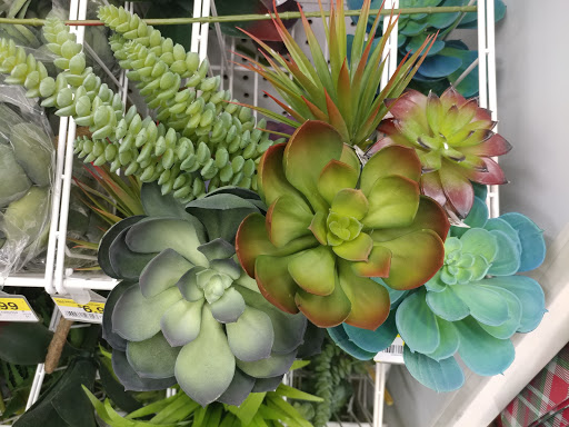 Fabric Store «Jo-Ann Fabrics and Crafts», reviews and photos, 13410 Meridian E Ste A, Puyallup, WA 98373, USA