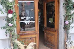 Flower store Pedonale Shkoder image