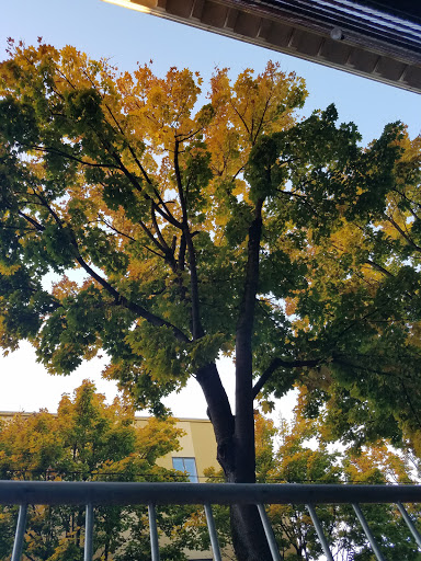 Concert Hall «Roseland Theater», reviews and photos, 8 NW 6th Ave, Portland, OR 97209, USA