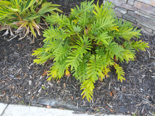 Book Store «Barnes & Noble», reviews and photos, 4414 SW College Rd, Ocala, FL 34474, USA