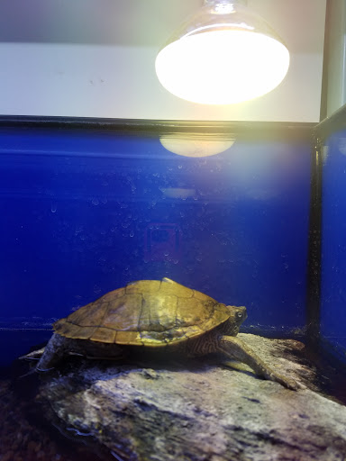 Pet Supply Store «PetSmart», reviews and photos, 2140 17th St, Santa Ana, CA 92705, USA