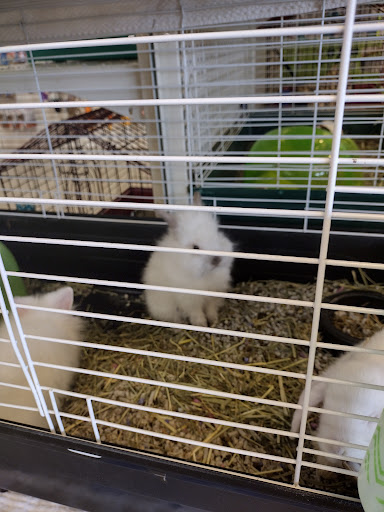 Pet Supply Store «Pet Partners», reviews and photos, 1962 W State St, Bristol, TN 37620, USA