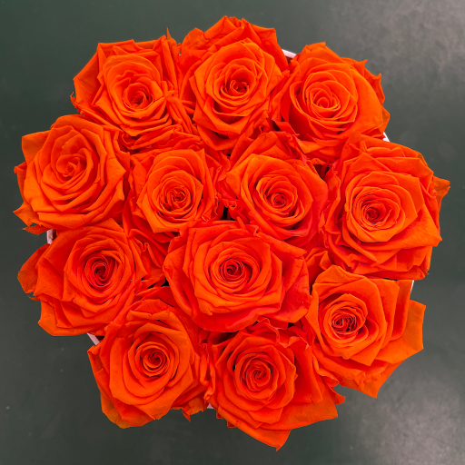 Florist «El Camino Florist», reviews and photos, 632 El Camino Real, South San Francisco, CA 94080, USA