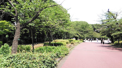 上野公園の寒桜