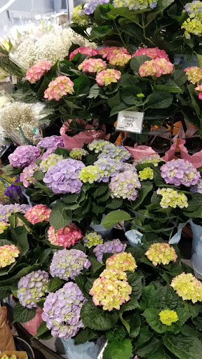 Grocery Store «Whole Foods Market», reviews and photos, 810 N University Dr, Coral Springs, FL 33071, USA