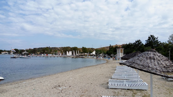 Phokaia Club