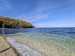 Foto av Pebble Beach beläget i naturområde