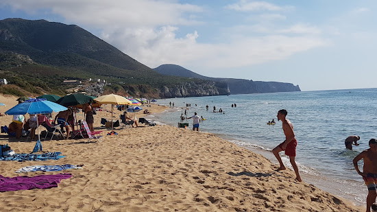 Piccoli Pini Strand