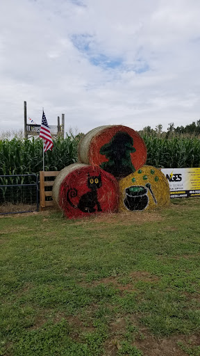 Farm «Buford Corn Maze.», reviews and photos, 4470 Bennett Rd, Buford, GA 30519, USA