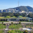 Golden Gate Park