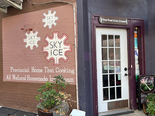Thai Restaurant «SkyIce Sweet & Savory», reviews and photos, 63 5th Ave, Brooklyn, NY 11217, USA